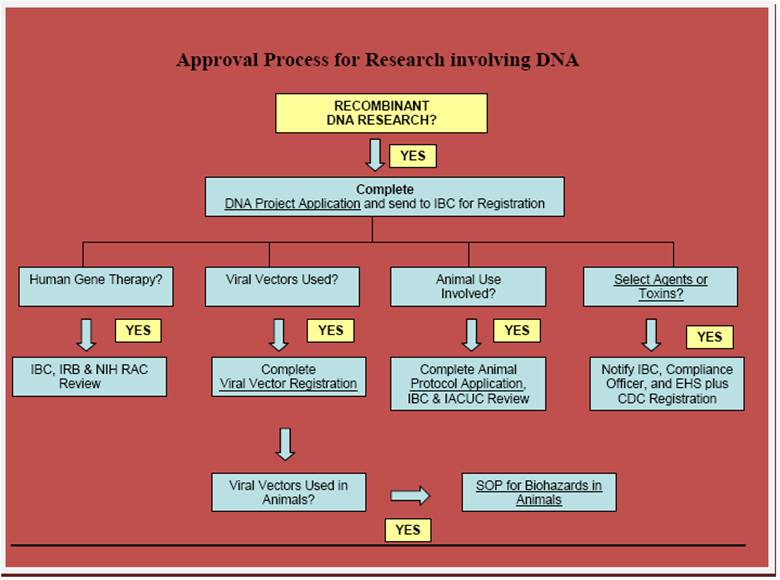 Approval Process for Research involving DNA